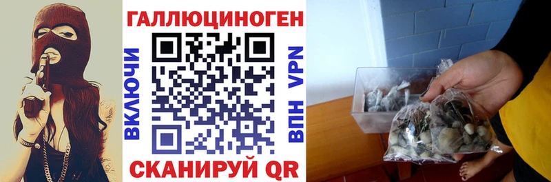 мега ТОР Кострома Псилоцибиновые грибы мицелий сколько стоит