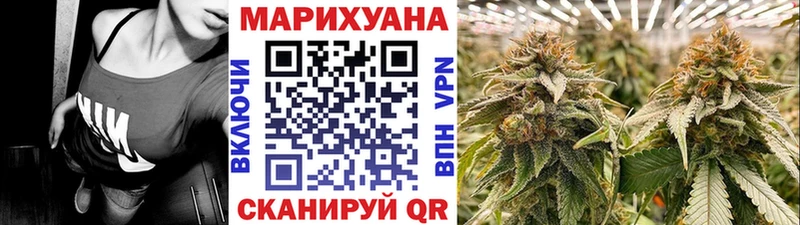 дарнет шоп  kraken сайт  Каннабис план  нарко площадка какой сайт  Кострома 